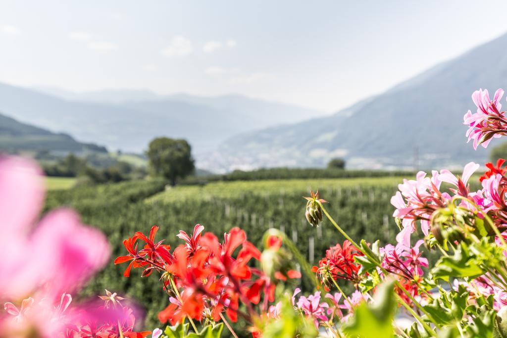 Tirolerhof Pension Natz-Schabs Bagian luar foto